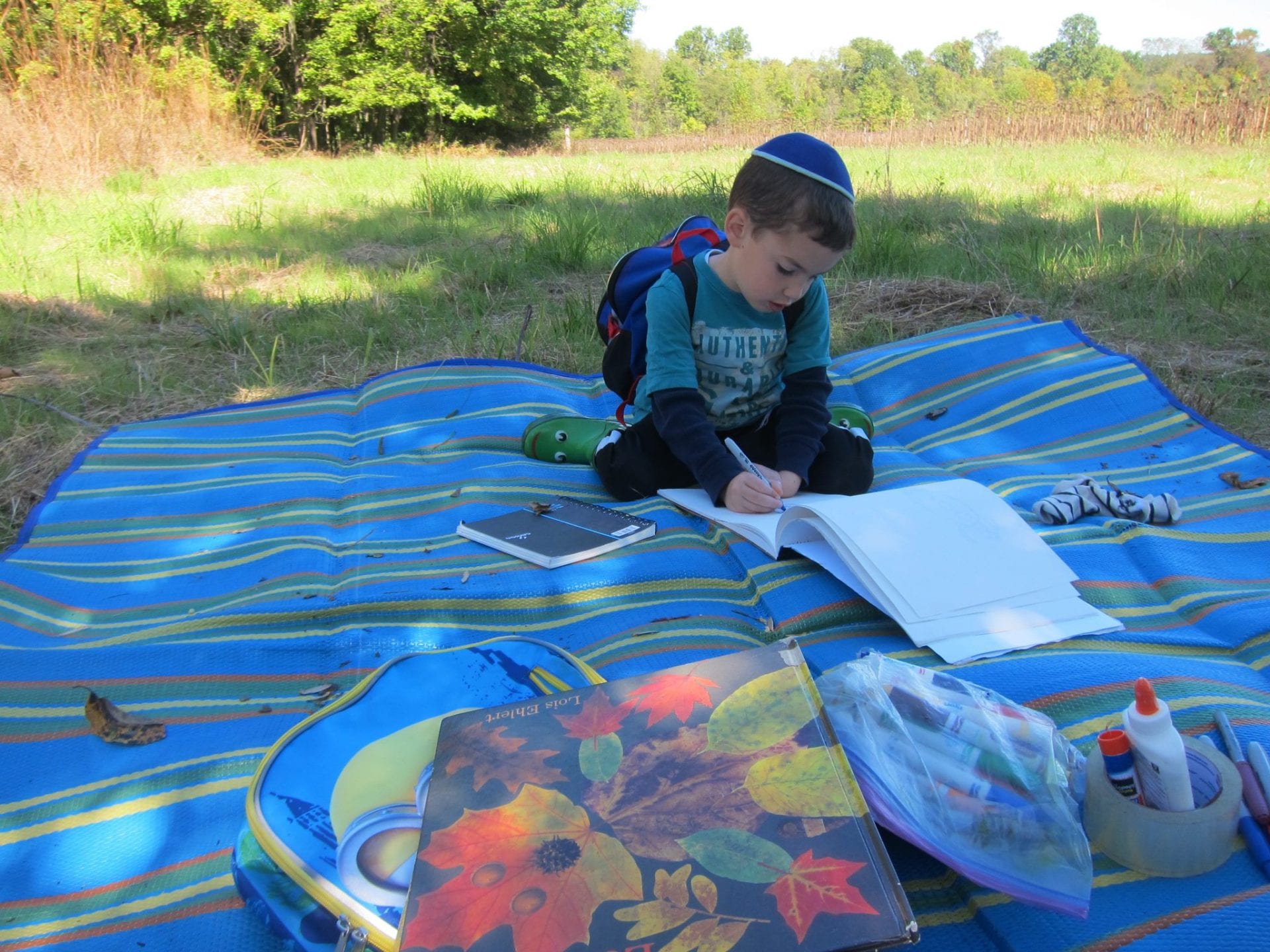 catch-release-combine-and-create-irvine-nature-center