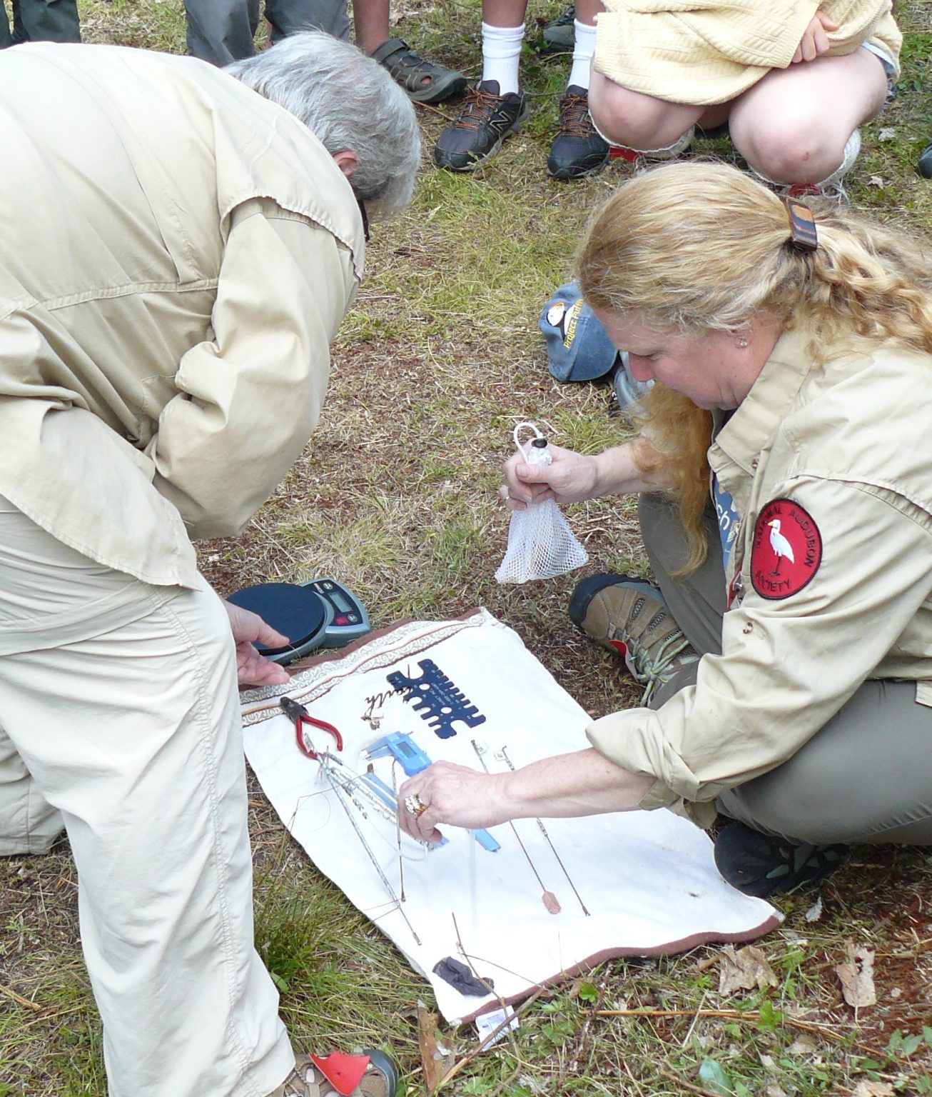 capture mark release recapture experiment