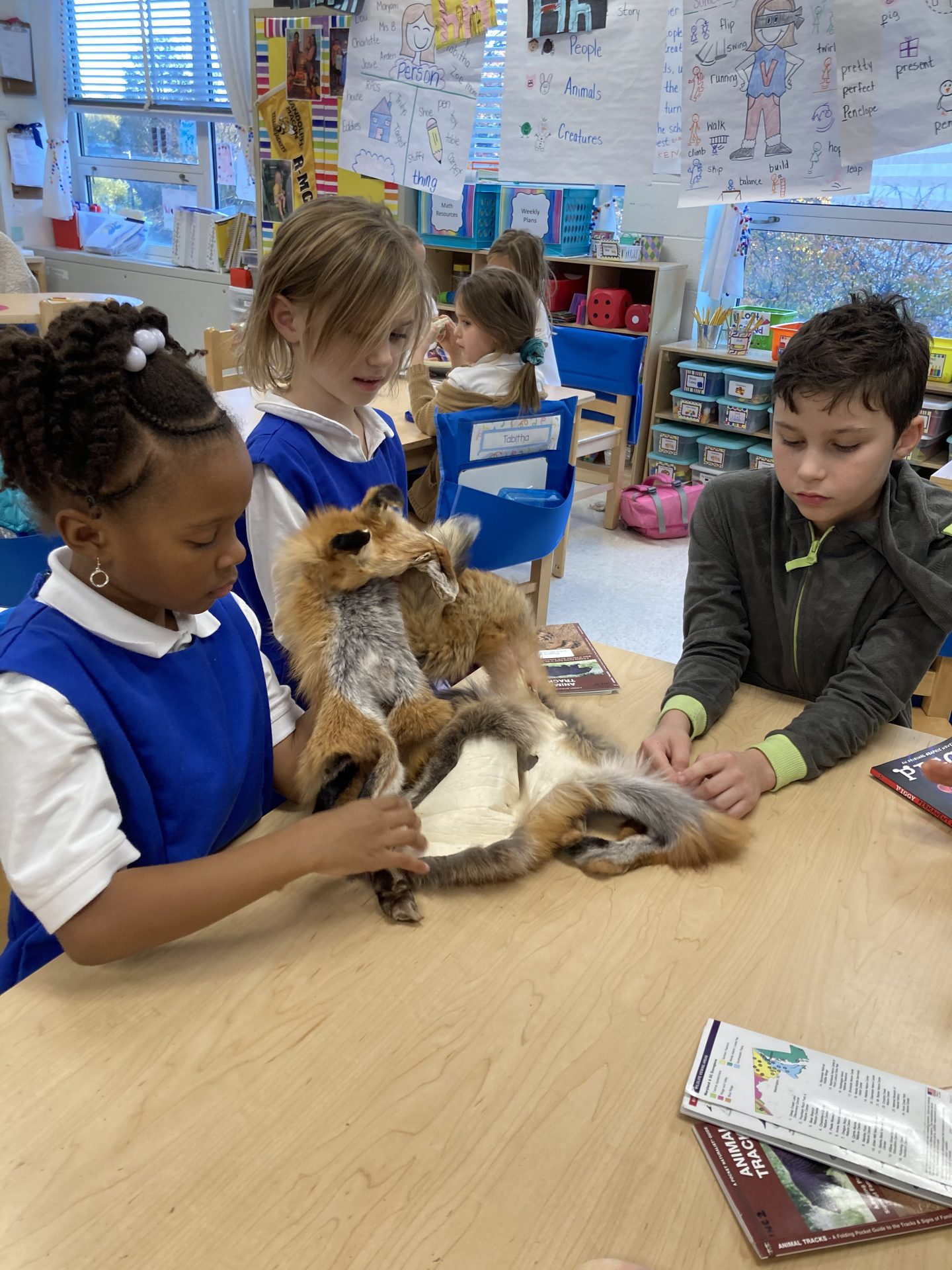 After-school Eco Explorers - Irvine Nature Center